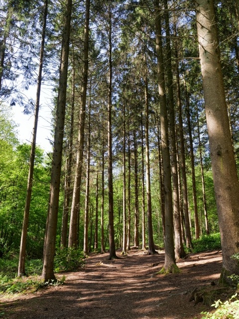 Parc de loisir pour familles et entreprises